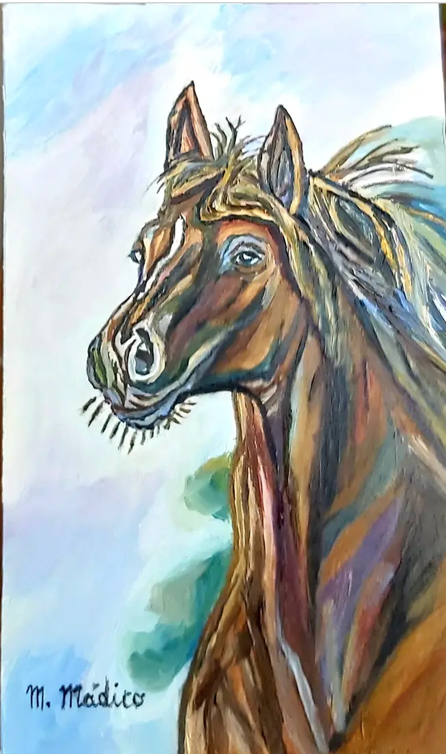 Caballo Shire Ingles-Americano