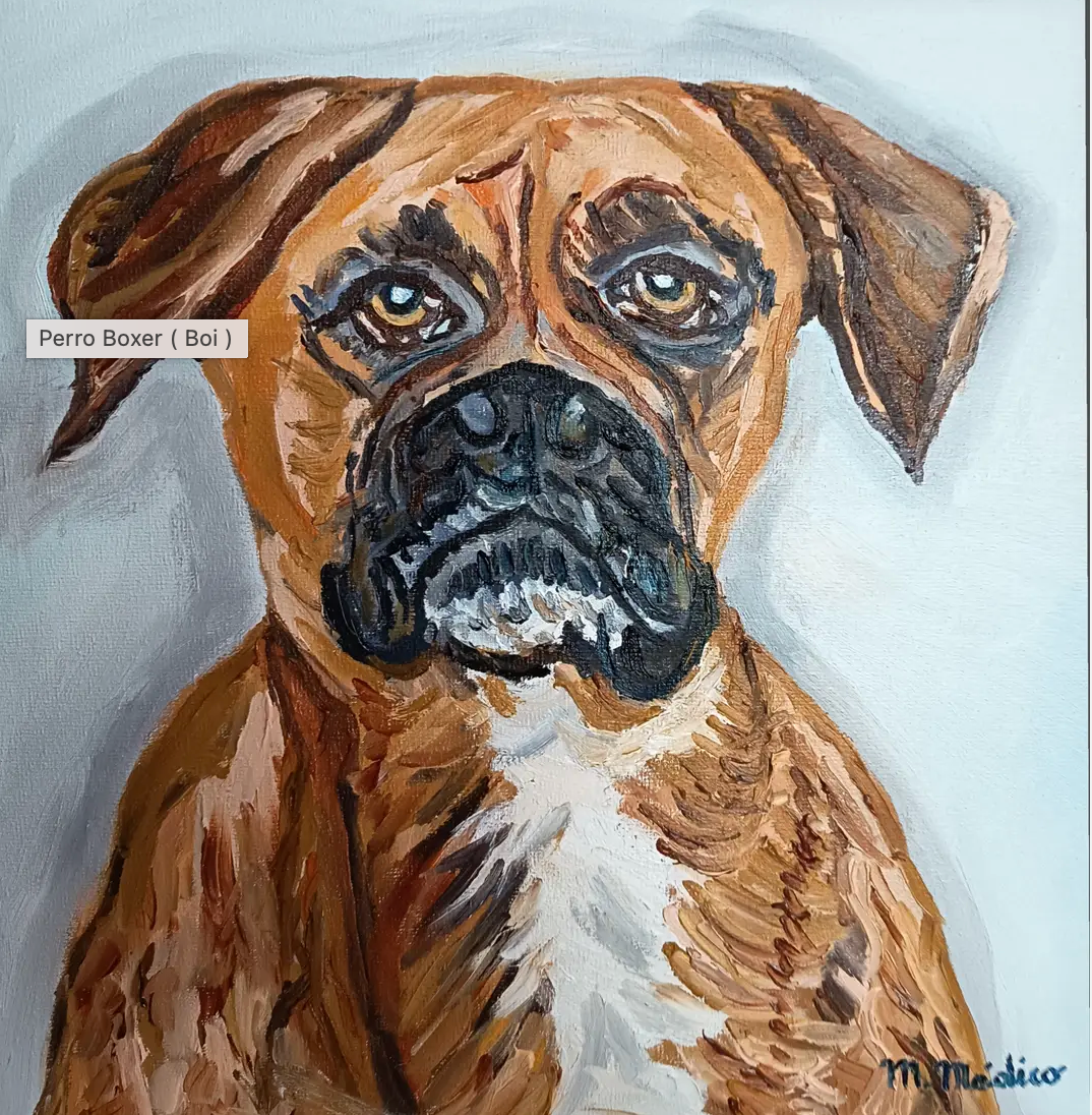 Perro Boxer ( Boi )